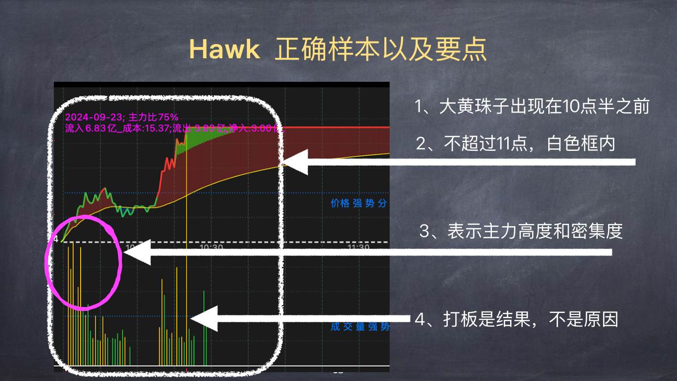 股票上涨的物理模型 · Hawk正确样本以及要点